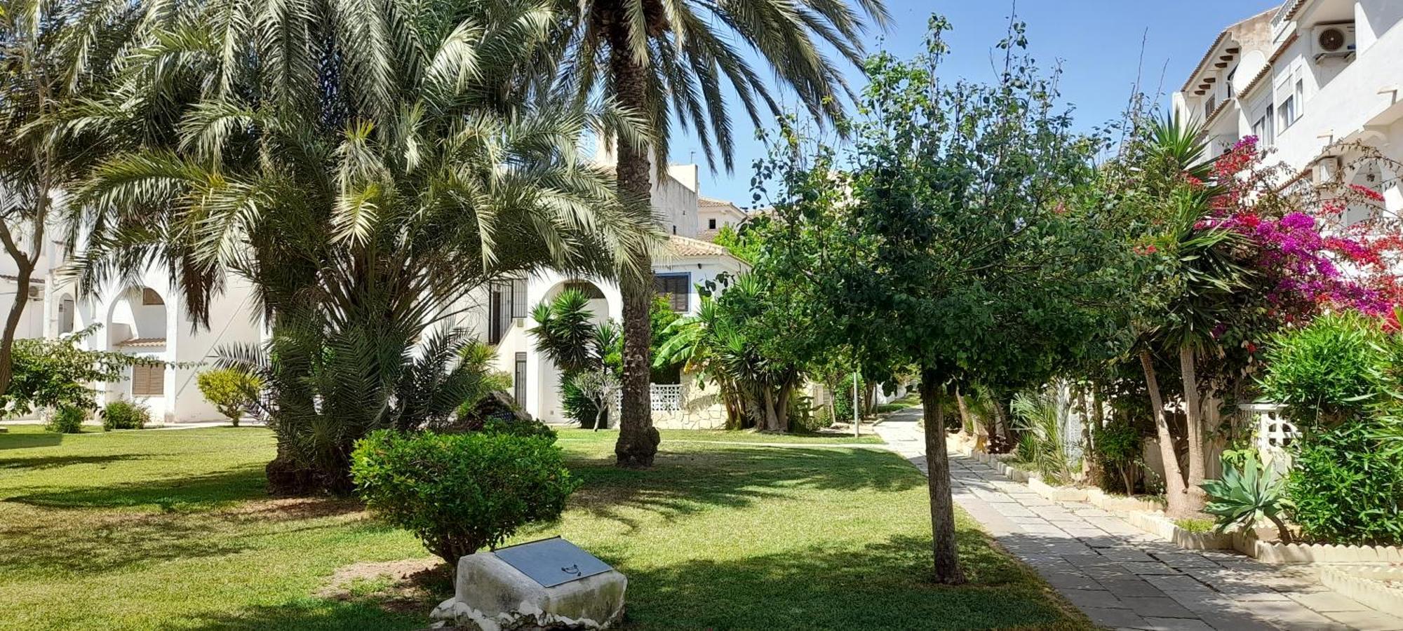 Apartment Los Locos Beach With Balcony And Wi-Fi Τορεβιέχα Εξωτερικό φωτογραφία